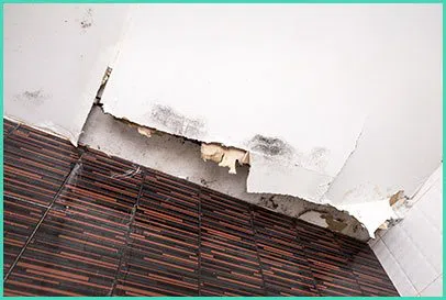 North Miami Beach Restoration Expert North Miami Beach, FL 786-353-3912 - home-content