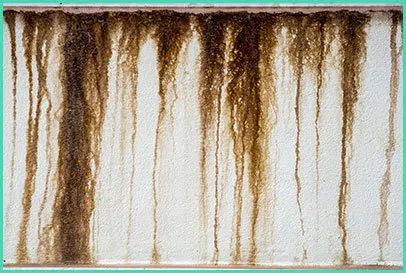 North Miami Beach Restoration Expert North Miami Beach, FL 786-353-3912 - mold-content