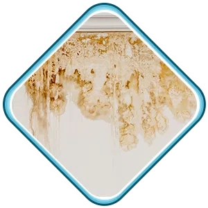 North Miami Beach Restoration Expert North Miami Beach, FL 786-353-3912 North Miami Beach Restoration Expert North Miami Beach, FL 786-353-3912