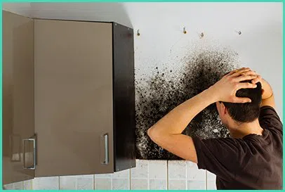 North Miami Beach Restoration Expert North Miami Beach, FL 786-353-3912 - v2-city-img3