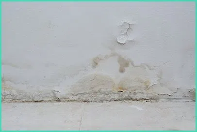 North Miami Beach Restoration Expert North Miami Beach, FL 786-353-3912 - water-damage-content